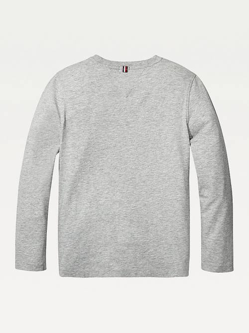 Tommy Hilfiger Long-Sleeve Organic Katoenen T-shirts Jongens Grijs | TH168GNL