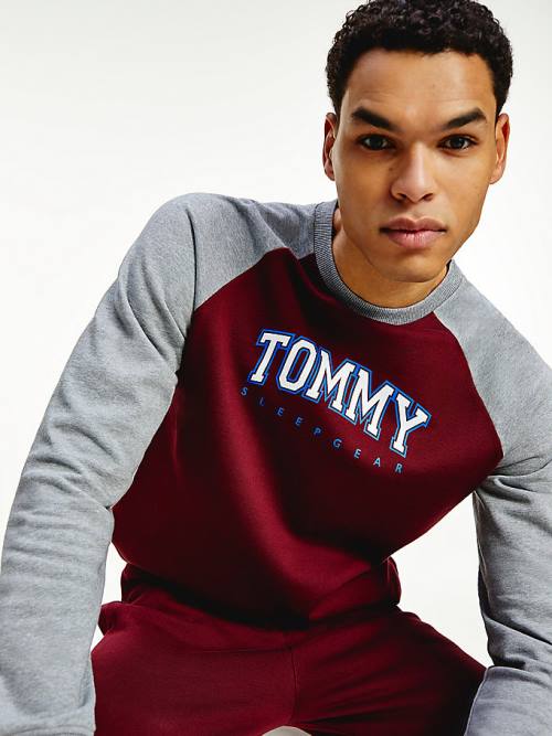 Tommy Hilfiger Lounge Colour-Blocked Organic Katoenen Sweatshirt Pyjamas Heren Paars | TH387BMI