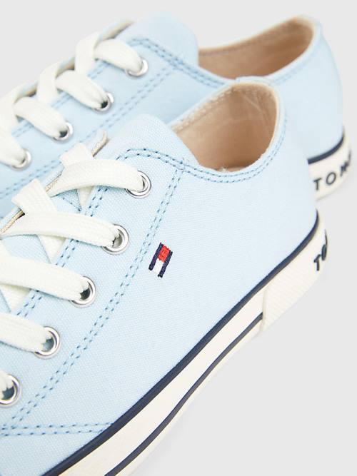 Tommy Hilfiger Low-Top Sneakers Jongens Blauw | TH837RVP