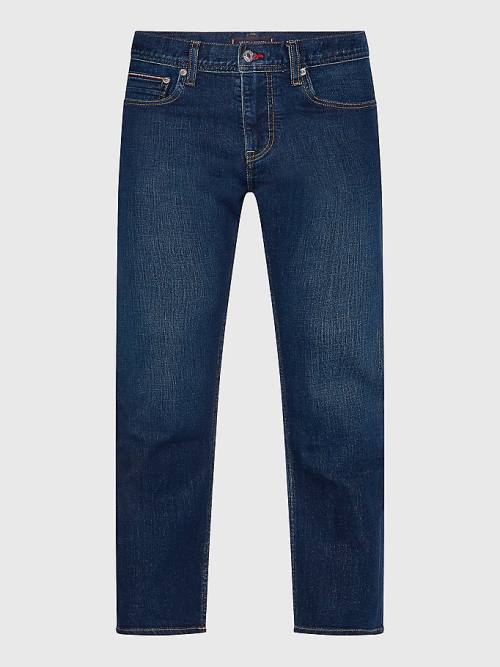 Tommy Hilfiger Mercer Regular Jeans Heren Denim | TH297TSR