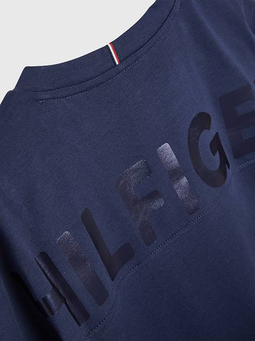 Tommy Hilfiger Metallic Logo Organic Katoenen T-shirts Meisjes Blauw | TH953MDY