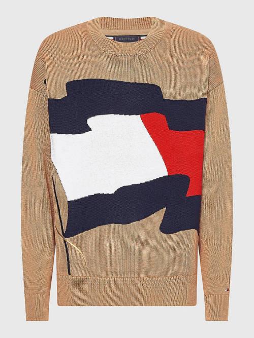 Tommy Hilfiger Motion Flag Crew Neck Jumper Truien Heren Bruin | TH530ILQ