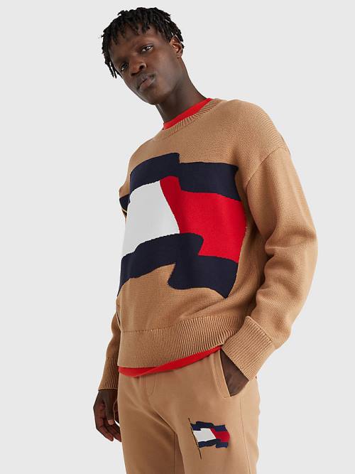 Tommy Hilfiger Motion Flag Crew Neck Jumper Truien Heren Bruin | TH530ILQ