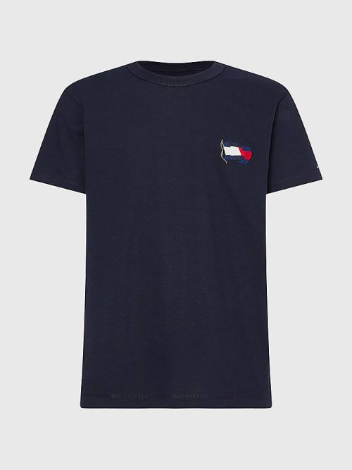 Tommy Hilfiger Motion Flag Embroidery T-shirts Heren Blauw | TH918VQI