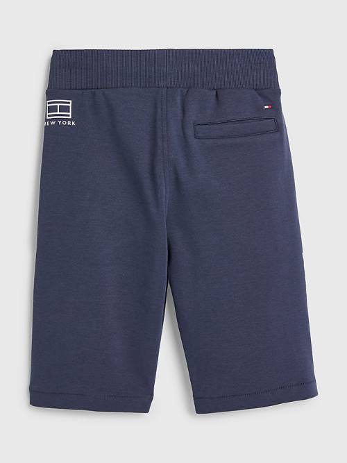 Tommy Hilfiger Multi Logo Drawstring Sweat Shorts Broek Jongens Blauw | TH689HBO