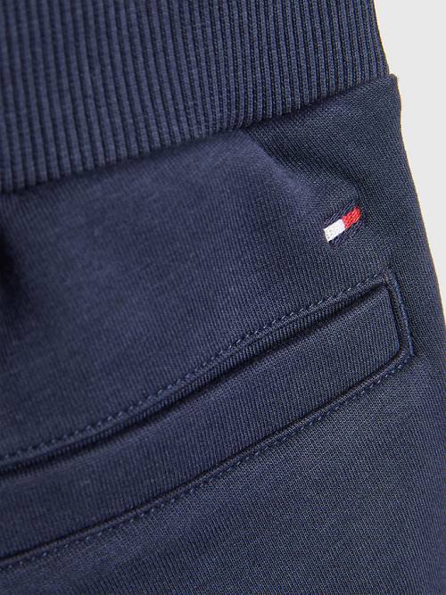 Tommy Hilfiger Multi Logo Drawstring Sweat Shorts Broek Jongens Blauw | TH689HBO