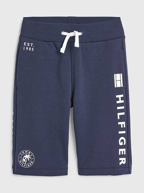 Tommy Hilfiger Multi Logo Drawstring Sweat Shorts Broek Jongens Blauw | TH689HBO