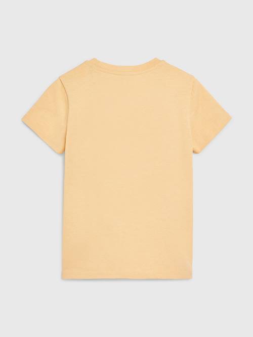 Tommy Hilfiger Natural Dye T-shirts Meisjes Geel | TH325BLW