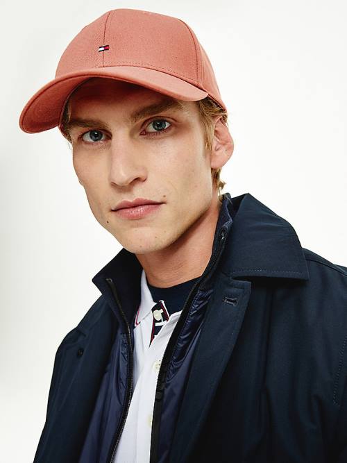 Tommy Hilfiger Organic Katoenen Flag Embroidery Cap Hoeden Heren Bruin | TH864LVX