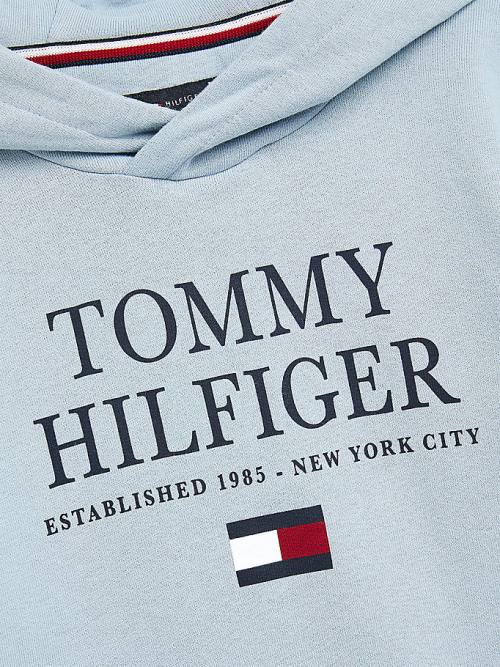 Tommy Hilfiger Organic Katoenen Logo Hoodie Jongens Blauw | TH807MLJ