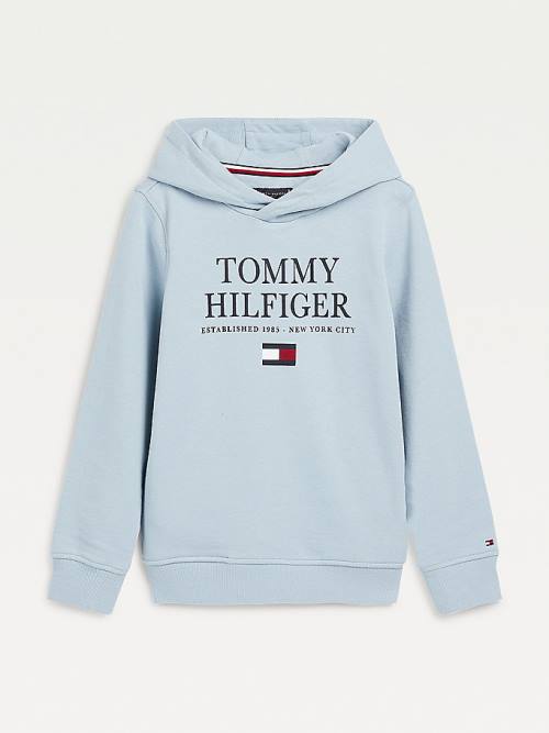 Tommy Hilfiger Organic Katoenen Logo Hoodie Jongens Blauw | TH807MLJ