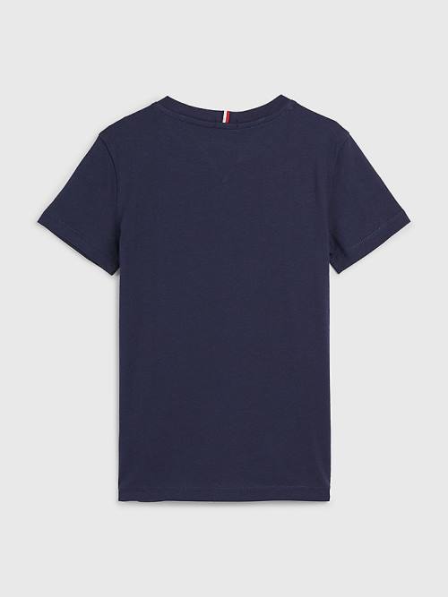 Tommy Hilfiger Organic Katoenen Logo T-shirts Jongens Blauw | TH245IJS