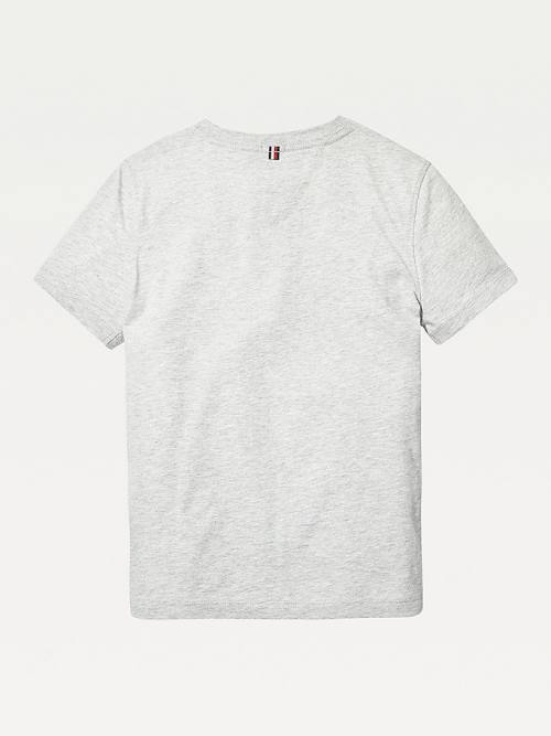 Tommy Hilfiger Organic Katoenen V-Neck T-shirts Jongens Grijs | TH357FZX