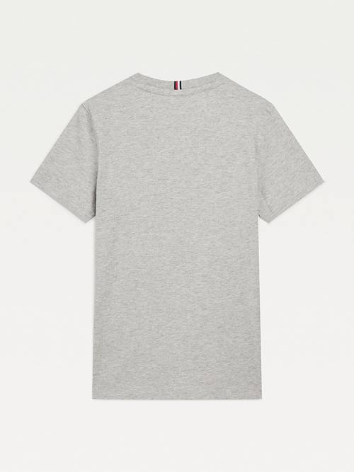 Tommy Hilfiger Organic Katoenen Varsity Print T-shirts Jongens Grijs | TH417YBL