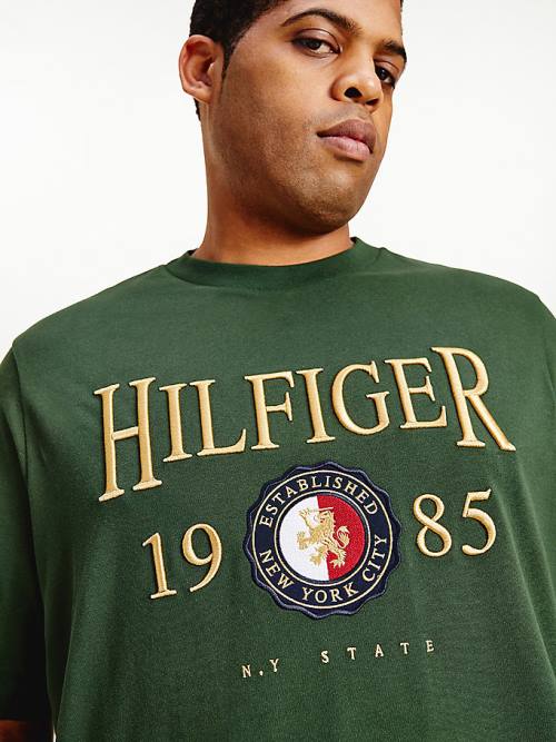 Tommy Hilfiger Plus Icons Relaxed Fit T-shirts Heren Groen | TH734KJS