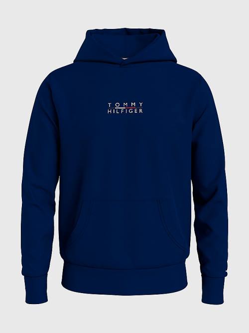 Tommy Hilfiger Plus Logo Embroidery Hoodie Heren Blauw | TH469JXD