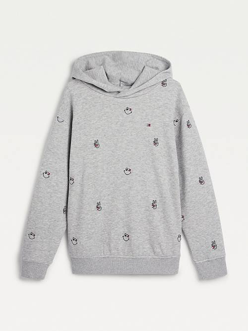 Tommy Hilfiger Recycled Embroidery Hoodie Jongens Grijs | TH014ROF