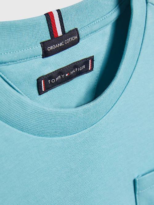 Tommy Hilfiger Relaxed Fit Badge T-shirts Jongens Blauw | TH901BSK