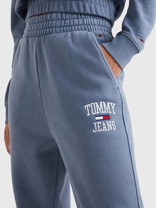 Tommy Hilfiger Relaxed Fit Logo Joggers Broek Dames Paars | TH051YQT