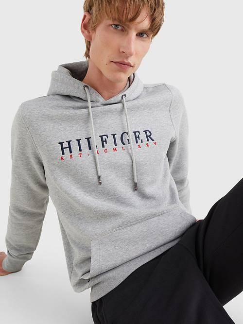 Tommy Hilfiger Signature Flex Fleece Logo Hoodie Heren Grijs | TH876KOF