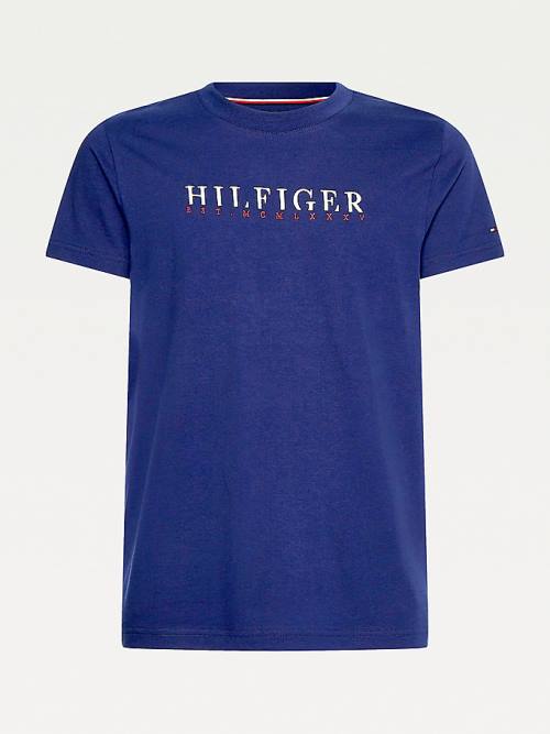 Tommy Hilfiger Signature Organic Katoenen Graphic Logo T-shirts Heren Blauw | TH963JEF