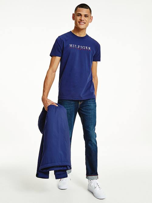 Tommy Hilfiger Signature Organic Katoenen Graphic Logo T-shirts Heren Blauw | TH963JEF