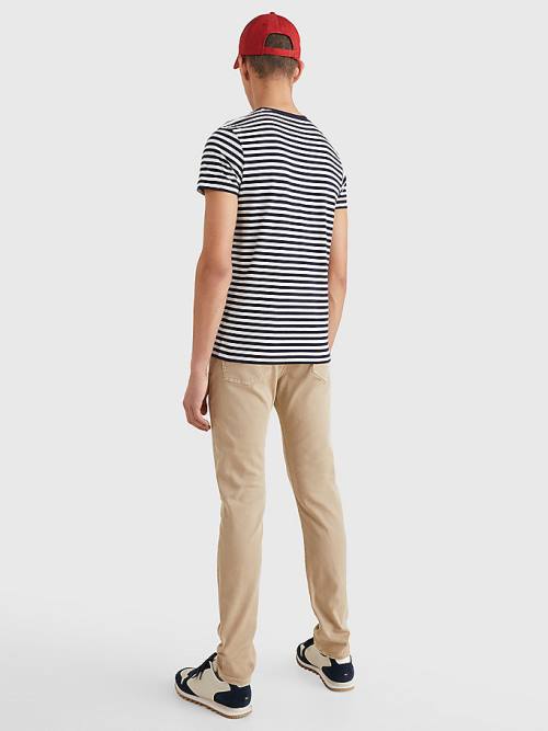 Tommy Hilfiger Stretch Organic Katoenen Slim Fit T-shirts Heren Blauw | TH379PXC