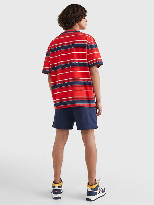 Tommy Hilfiger Stripe Organic Katoenen T-shirts Heren Blauw | TH165OAC