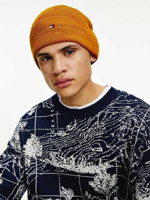 Tommy Hilfiger TH Established Wool Katoenen Beanie Hoeden Heren Goud | TH426WPR