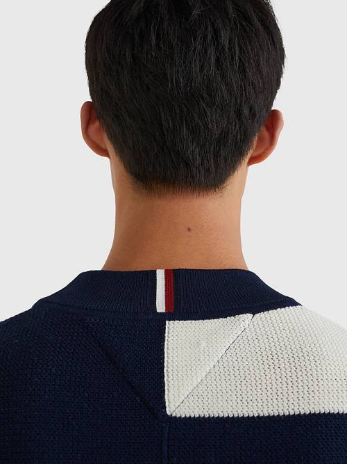 Tommy Hilfiger TH Flex Crest Stripe Jumper Truien Heren Blauw | TH187SCR