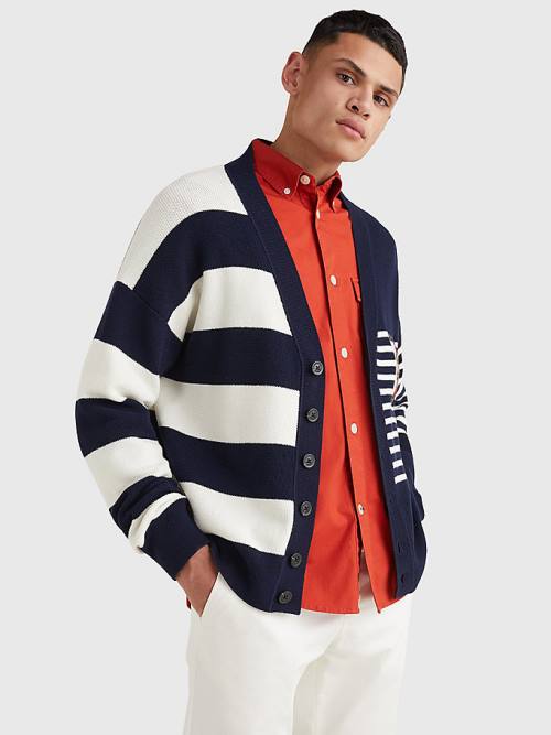 Tommy Hilfiger TH Flex Stripe Crest Cardigan Truien Heren Blauw | TH548HBE