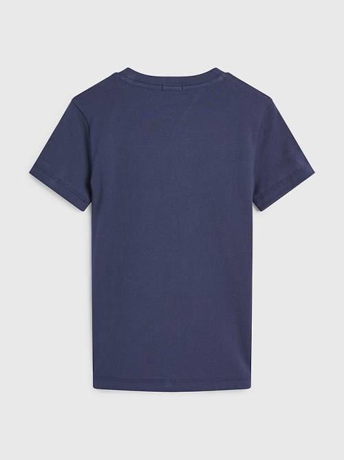 Tommy Hilfiger Tape Logo Organic Katoenen T-shirts Jongens Blauw | TH843MYF