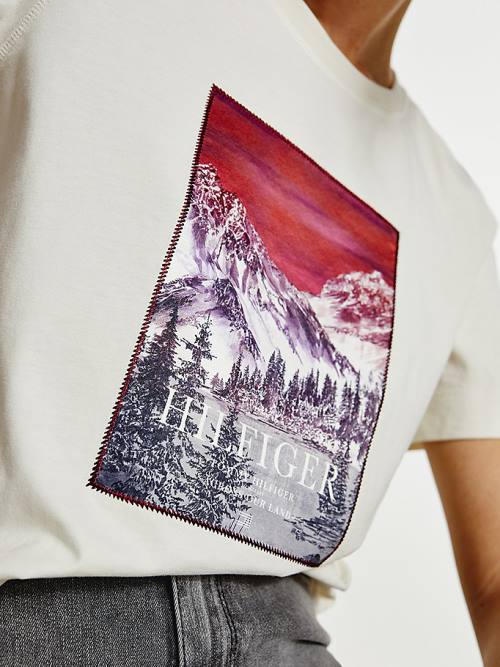 Tommy Hilfiger Tommy Icons Landscape Logo T-shirts Dames Wit | TH147LHF