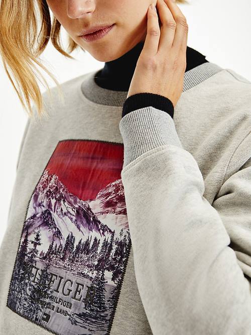 Tommy Hilfiger Tommy Icons Landscape Logo Sweatshirts Dames Grijs | TH457GEP