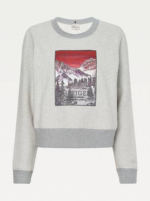 Tommy Hilfiger Tommy Icons Landscape Logo Sweatshirts Dames Grijs | TH457GEP