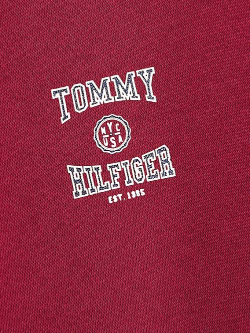 Tommy Hilfiger Varsity Logo Slouchy Hoodie Meisjes Rood | TH297CXL